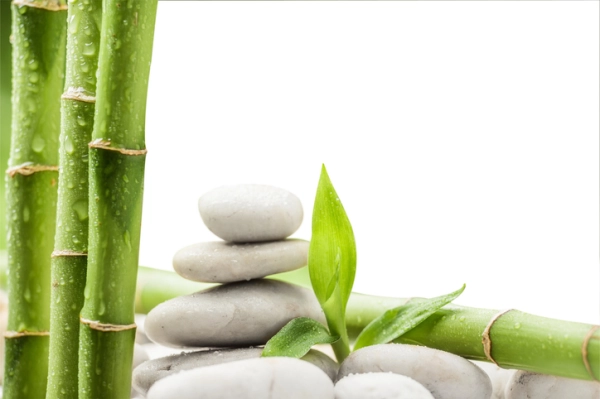 Stone Facial Massage Online Course