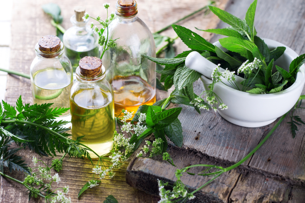 Herbal Madicine Online Course 